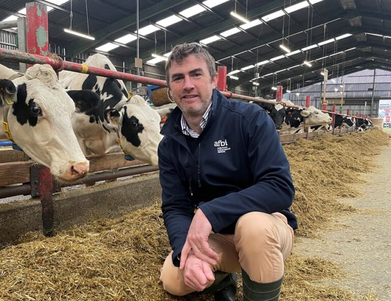 Steven Morrison next to cows feeding