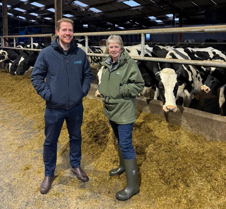 Elaine Williamson with FLO near Scarva Co Armagh