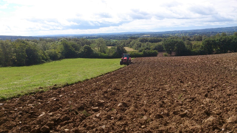 Reseed image Image of field being ploughed by a tractor