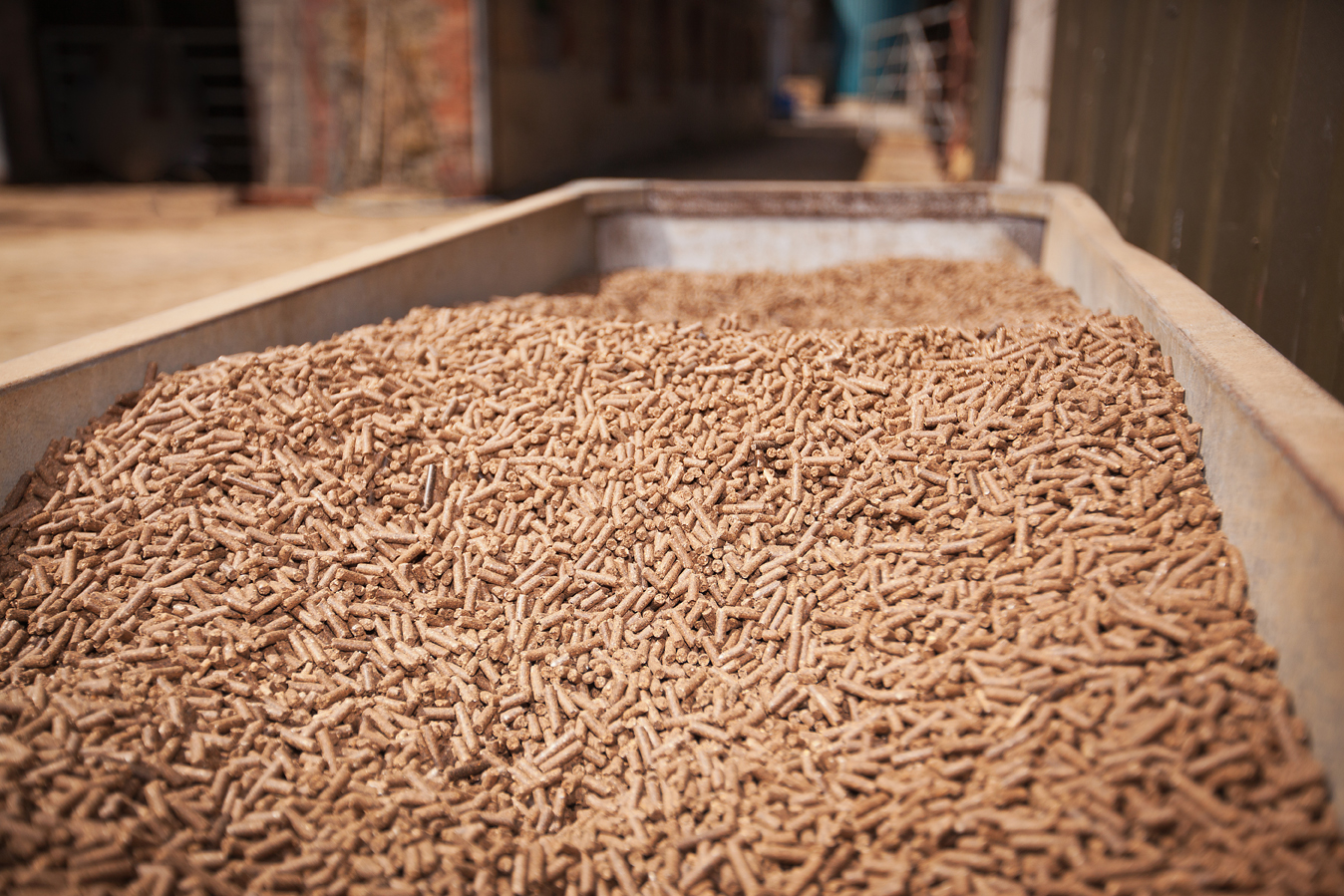 Rushywood Farm1906120230 Image of feed pellets in trough